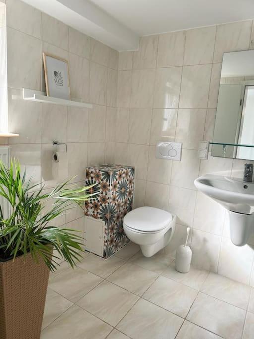 Business Apartment Naehe Bonn Кенігсвінтер Екстер'єр фото